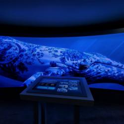 Что транслирует Камчатский край - в фоторепортаже РИА VladNews #11