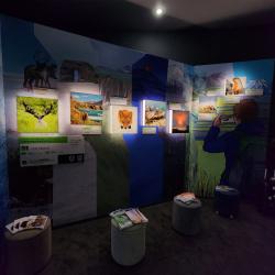 Что транслирует Камчатский край - в фоторепортаже РИА VladNews #14