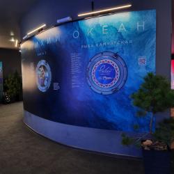 Что транслирует Камчатский край - в фоторепортаже РИА VladNews #23