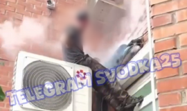 Безымянный (14).png