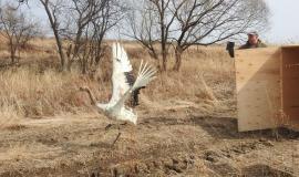 2025-09-12 09.33.12.jpg