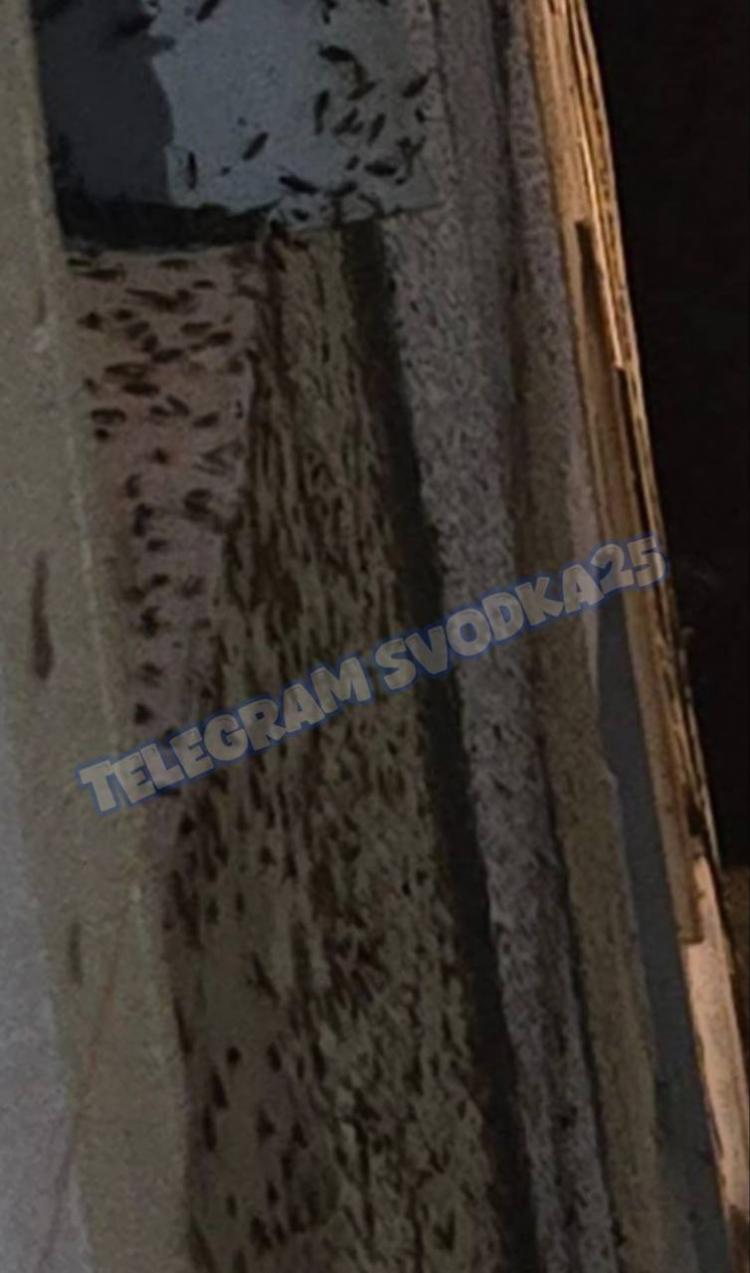 2025-09-12 18.30.07.jpg