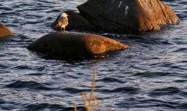 WhatsApp Image 2025-09-13 at 19.06.38.jpeg