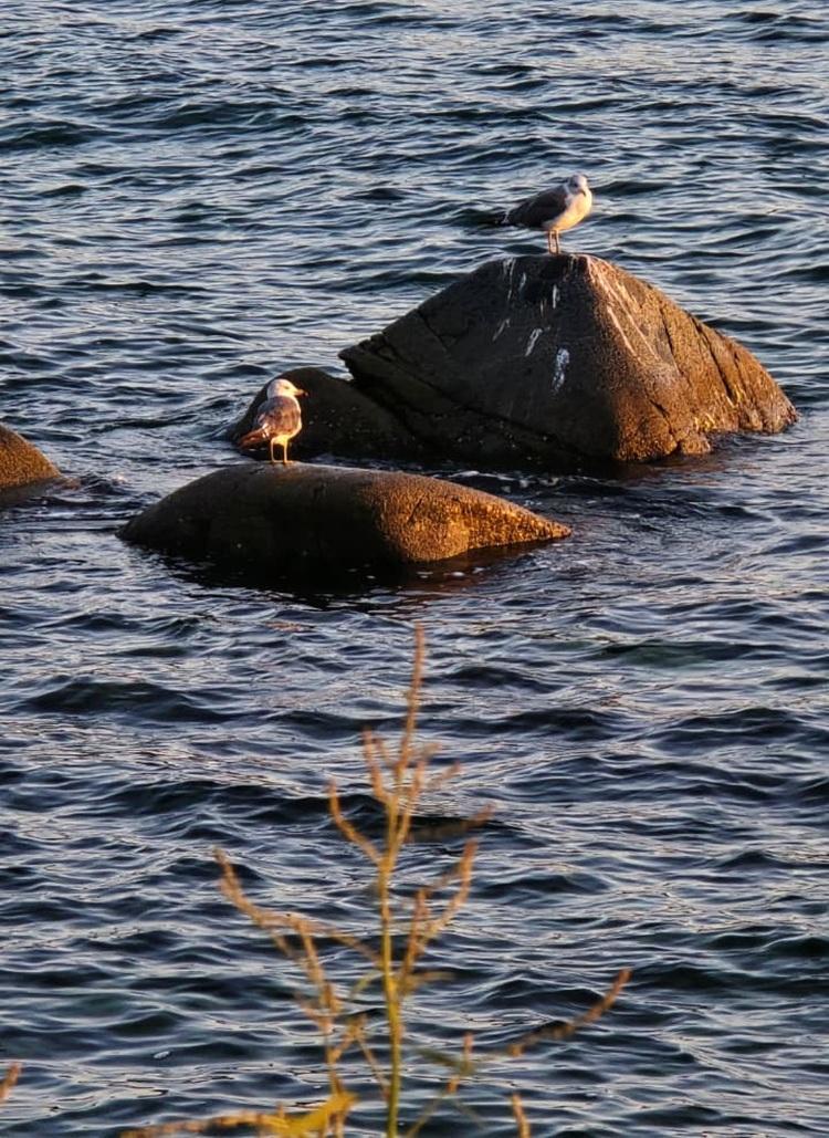 thumb_549743_news_xxxl (1).jpeg