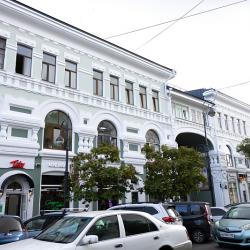 В настоящий момент подрядные организации работают на объектах по адресам: Океанский проспект, 13 и Светланская, 61. А оценить качество выполненных работ можно на примере обновленного фасада зданий по Светланской, 39 и 39в #6