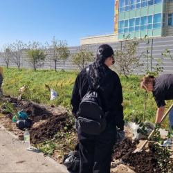 Порядка 100 деревьев появились около детского сада № 167 в минувшую субботу #1