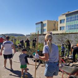 Порядка 100 деревьев появились около детского сада № 167 в минувшую субботу #2