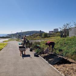 Порядка 100 деревьев появились около детского сада № 167 в минувшую субботу #3