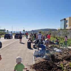 Порядка 100 деревьев появились около детского сада № 167 в минувшую субботу #5