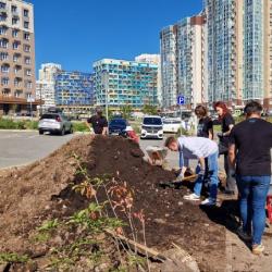 Порядка 100 деревьев появились около детского сада № 167 в минувшую субботу #6