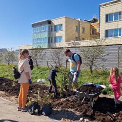 Порядка 100 деревьев появились около детского сада № 167 в минувшую субботу #8