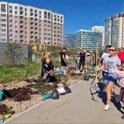 Порядка 100 деревьев появились около детского сада № 167 в минувшую субботу #9