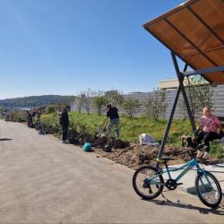 Порядка 100 деревьев появились около детского сада № 167 в минувшую субботу #10