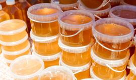 thumb_549532_news_xxxl (1).jpeg