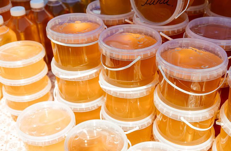 thumb_549532_news_xxxl (1).jpeg