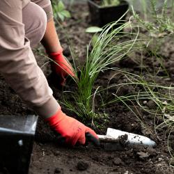 Преображение улицы Мордовцева на участке от Океанского проспекта до Алеутской близится к завершению #2