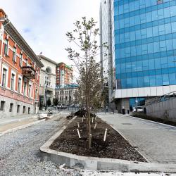 Преображение улицы Мордовцева на участке от Океанского проспекта до Алеутской близится к завершению #4