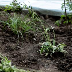 Преображение улицы Мордовцева на участке от Океанского проспекта до Алеутской близится к завершению #8