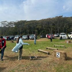 Горожане пришли с питомцами, чтобы провести день добра и помочь бездомным животным #5