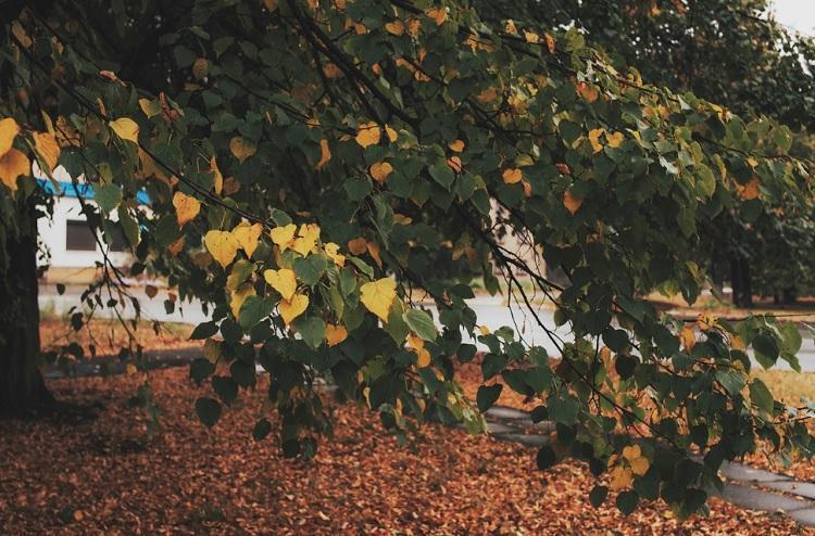 thumb_550776_news_xxxl (2).jpeg