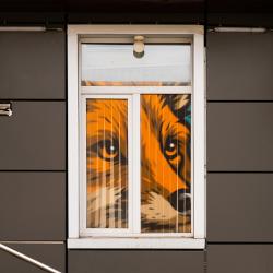 Один из масштабных рисунков украсил стену под мостом «Дружбы Тояма – Приморье» #2