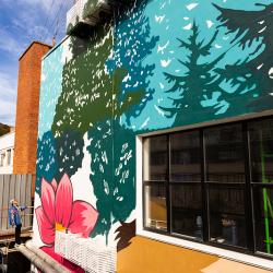 Один из масштабных рисунков украсил стену под мостом «Дружбы Тояма – Приморье» #5