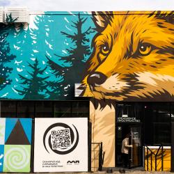 Один из масштабных рисунков украсил стену под мостом «Дружбы Тояма – Приморье» #8