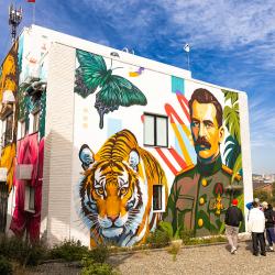 Один из масштабных рисунков украсил стену под мостом «Дружбы Тояма – Приморье» #9