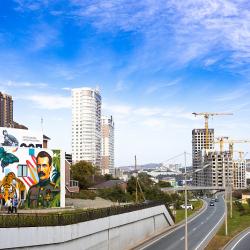 Один из масштабных рисунков украсил стену под мостом «Дружбы Тояма – Приморье» #11