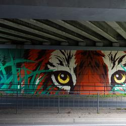 Один из масштабных рисунков украсил стену под мостом «Дружбы Тояма – Приморье» #13