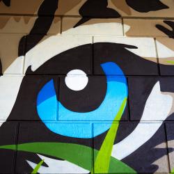 Один из масштабных рисунков украсил стену под мостом «Дружбы Тояма – Приморье» #14