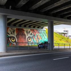 Один из масштабных рисунков украсил стену под мостом «Дружбы Тояма – Приморье» #15