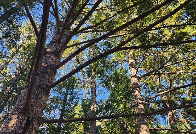 1000097786-01 (1).jpg