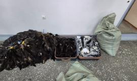 2025-10-17 09.35.18.jpg