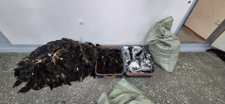 2025-10-17 09.35.18.jpg