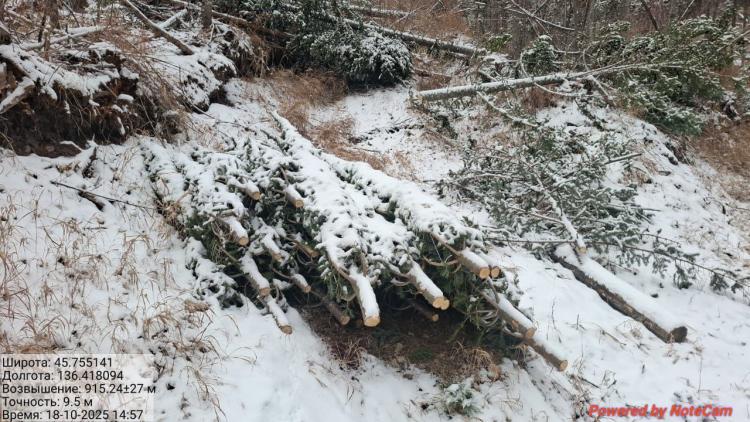 2025-10-20 11.02.20.jpg