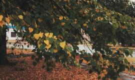 thumb_551817_news_xxxl (1).jpeg