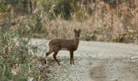 2025-10-28 11.53.12.jpg