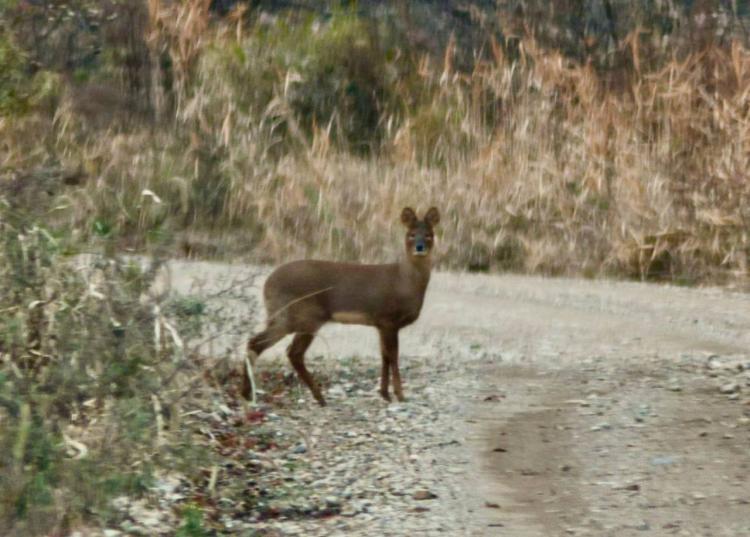 2025-10-28 11.53.12.jpg