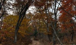 WhatsApp Image 2025-11-02 at 22.15.01.jpeg