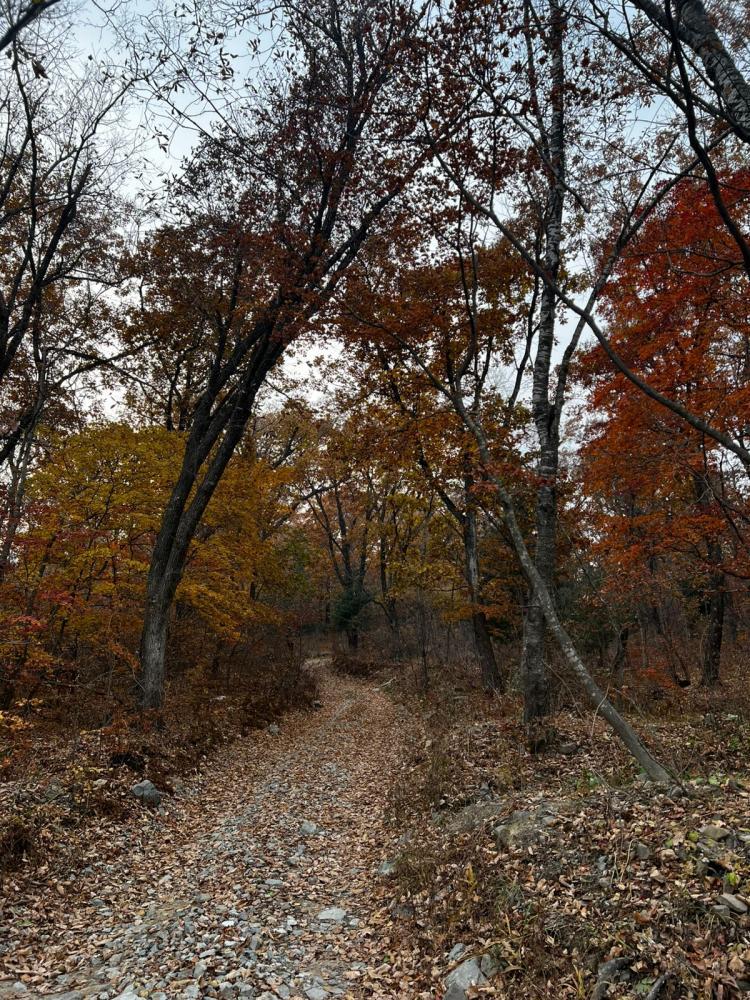 thumb_552998_news_xxxl (1).jpeg