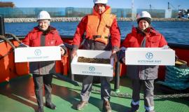 выпуск трепанга.jpg