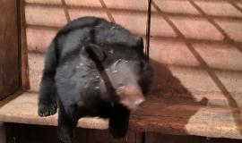 2025-11-18 09.53.19.jpg