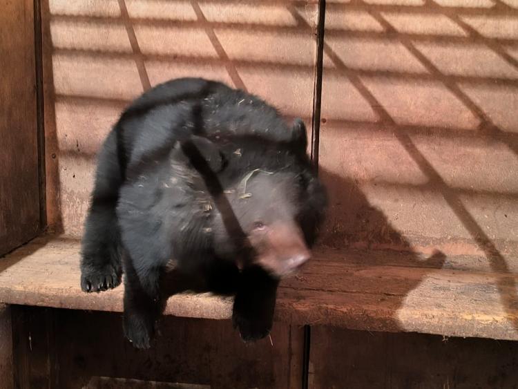 2025-11-18 09.53.19.jpg