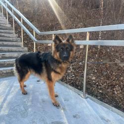 В Снеговой Пади завершаются работы по благоустройству парка: новые тропы, детские площадки и места для отдыха #9