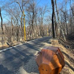 В Снеговой Пади завершаются работы по благоустройству парка: новые тропы, детские площадки и места для отдыха #11