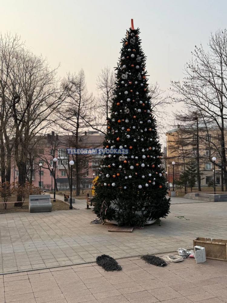 2025-11-25 09.51.16.jpg