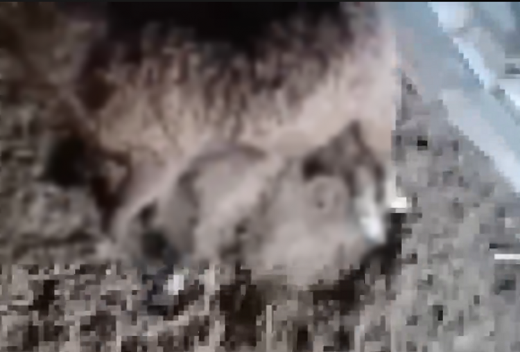 Безымянный (15).png