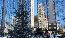 WhatsApp Image 2025-12-01 at 10.41.38.jpeg