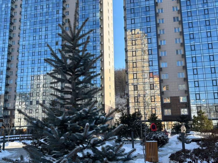 WhatsApp Image 2025-12-01 at 10.41.38.jpeg